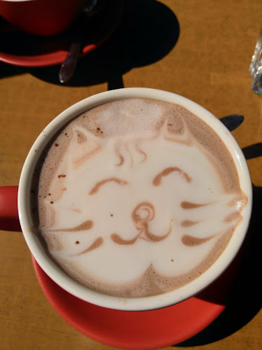 Moon Cafe and Restaurant - Hospitality and gastronomy