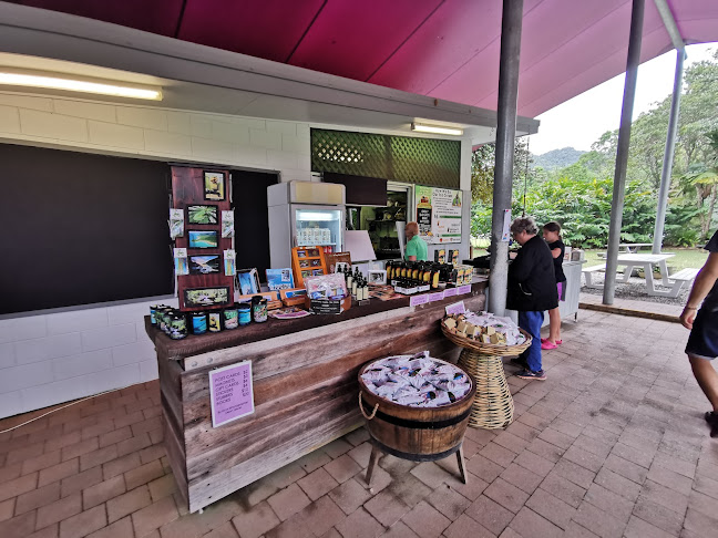 1819 Cape Tribulation Rd, Diwan QLD 4873