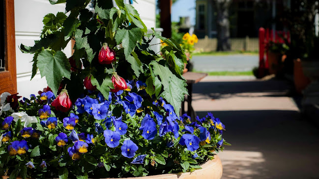 Steam & Cedar - Hospitality and gastronomy