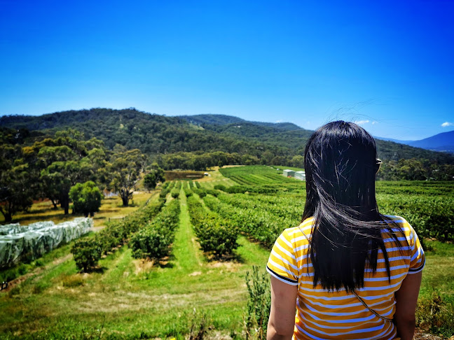 Yarra Valley Cherries - Hospitality and gastronomy