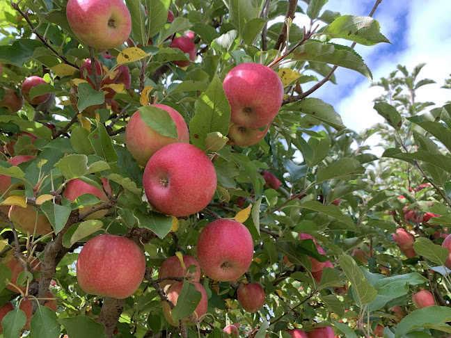 Licciardello And Son Orchards The Home Of Crazy4Fruit And Veg - Hospitality and gastronomy