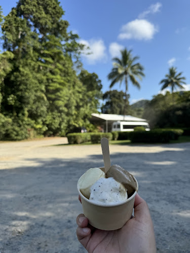 Daintree Ice Cream Company - Hospitality and gastronomy