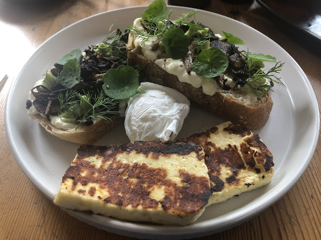 Comentarii opinii despre White Picket Fence