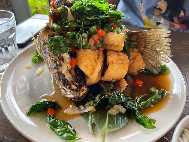 Comentarii opinii despre Osha Kitchen & Bar