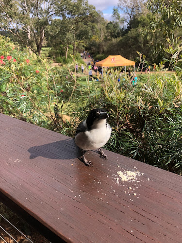 Comentarii opinii despre Coffee At The Gardens