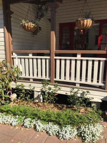 Opinii despre Snag & Brown în Annerley - Hospitality and gastronomy