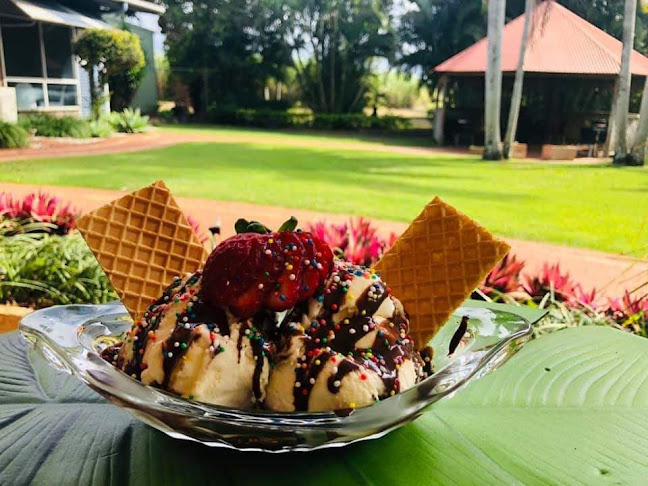 Comentarii opinii despre Turtle's Paradise