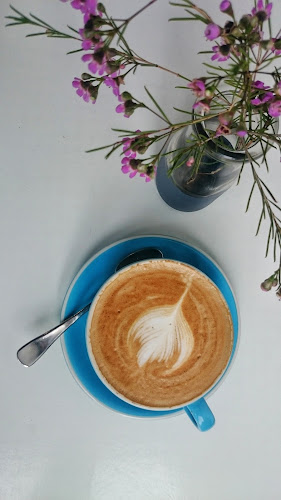 Comentarii opinii despre The Happy Wife