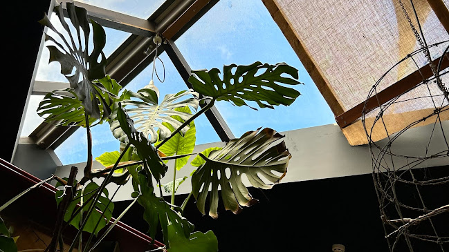 Comentarii opinii despre The Loca-Vore