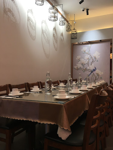 Comentarii opinii despre The Golden Drum