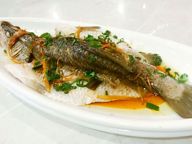 The Golden Drum - Canberra