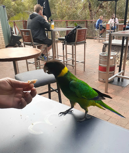 Comentarii opinii despre John Forrest Tavern