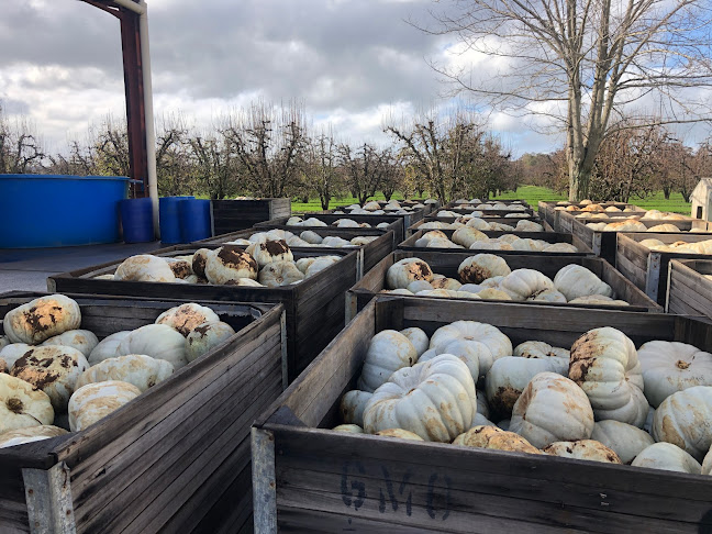 18245 S Western Hwy, Donnybrook WA 6239