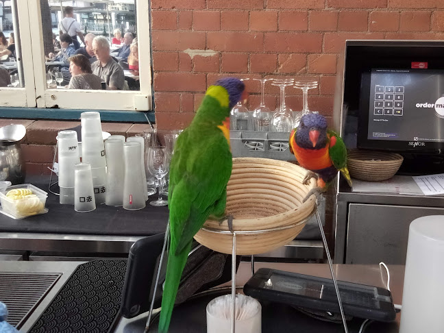 Comentarii opinii despre Sydney Cove Oyster Bar