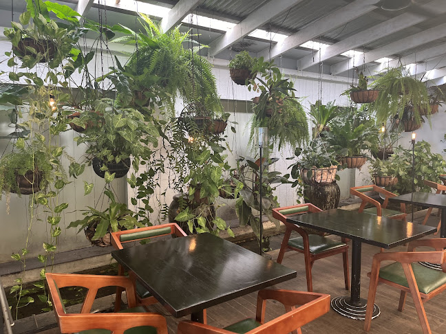 1 Veivers Rd, Palm Cove QLD 4879