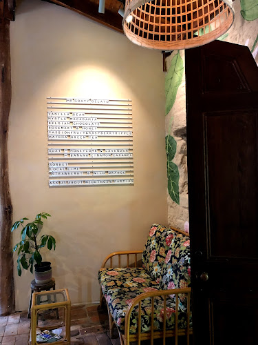 Bar Botanica - Hospitality and gastronomy