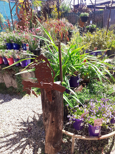 Comentarii opinii despre Deka