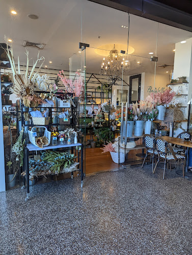 Pansabella Cafe - Coffs Harbour