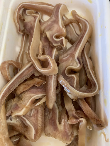 Green Watermelon Deli - Hospitality and gastronomy