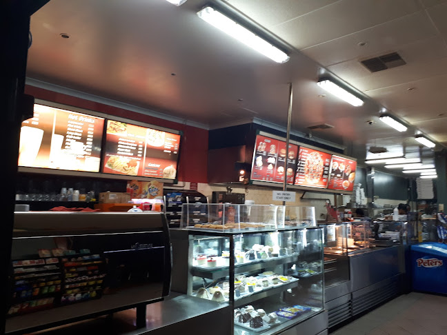 All Night Pizza Café - Hospitality and gastronomy