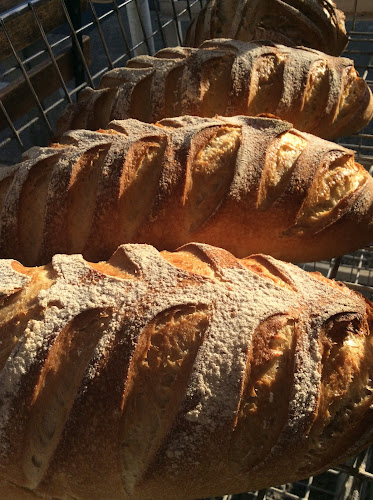 Comentarii opinii despre Brewbakers