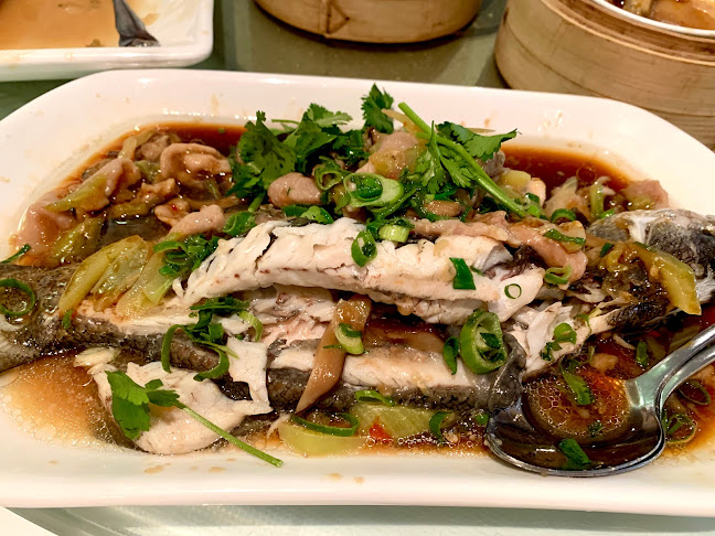 Star House Chinese Restaurant - Hospitality and gastronomy