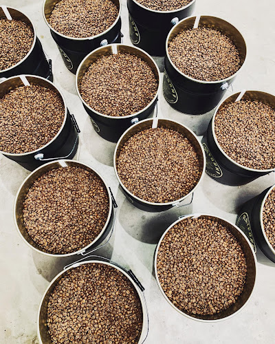 Platform 9 Coffee Roasters - Hospitality and gastronomy