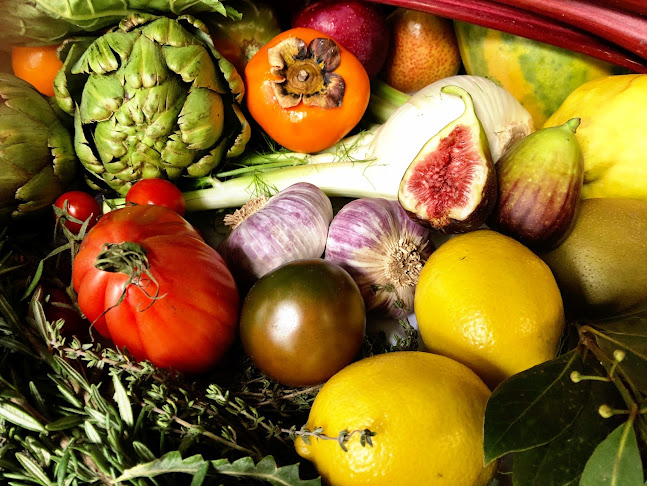 Harvest Trader and Co - St Peters