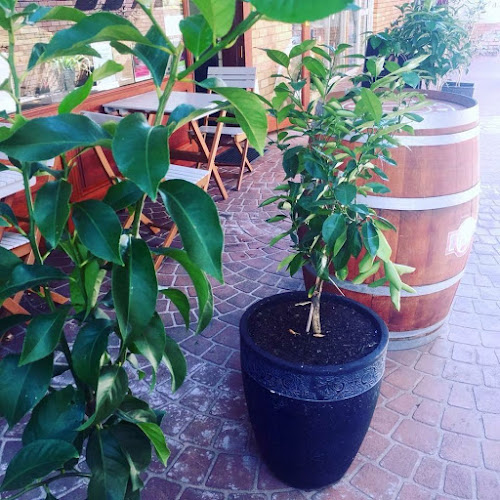 Dad's Deli Mudgee - Hospitality and gastronomy