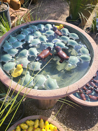 Opinii despre Paperbark Cafe în Melbourne - Hospitality and gastronomy