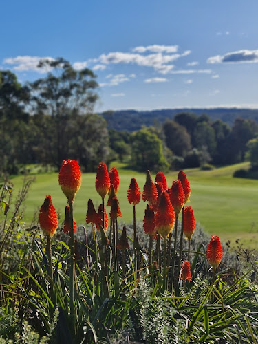 Comentarii opinii despre Sitting Duck