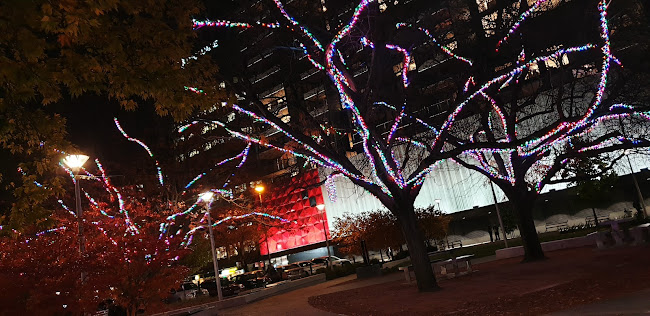 BWS Canberra City - Hospitality and gastronomy