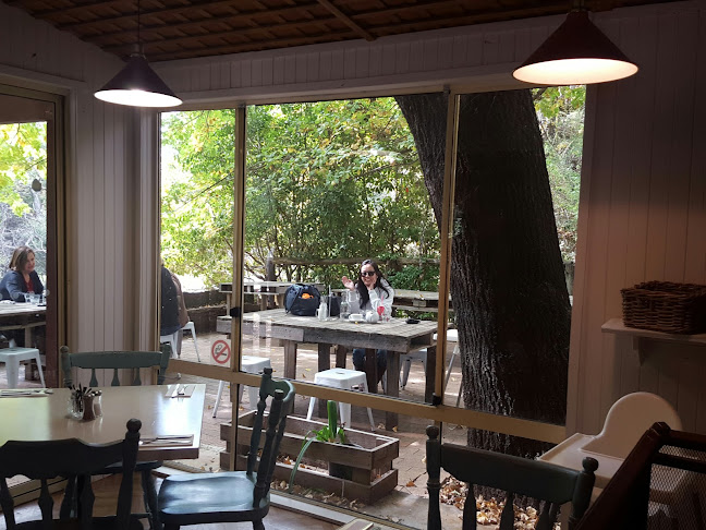 The Mountain Teahouse