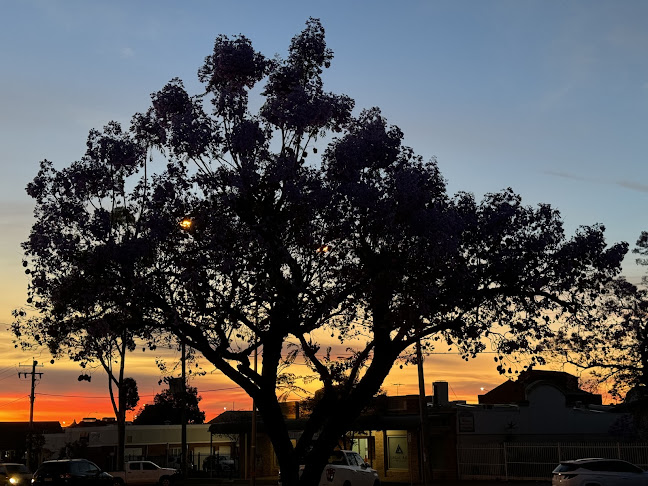 Comentarii opinii despre WASM Social Club