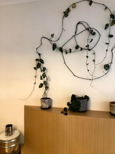 Comentarii opinii despre Singular Coffee Northbridge