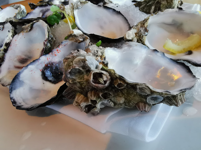 Rico Bar + Dining - Hospitality and gastronomy