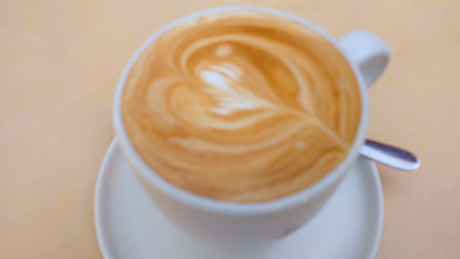 Nigronis - Nelson Bay