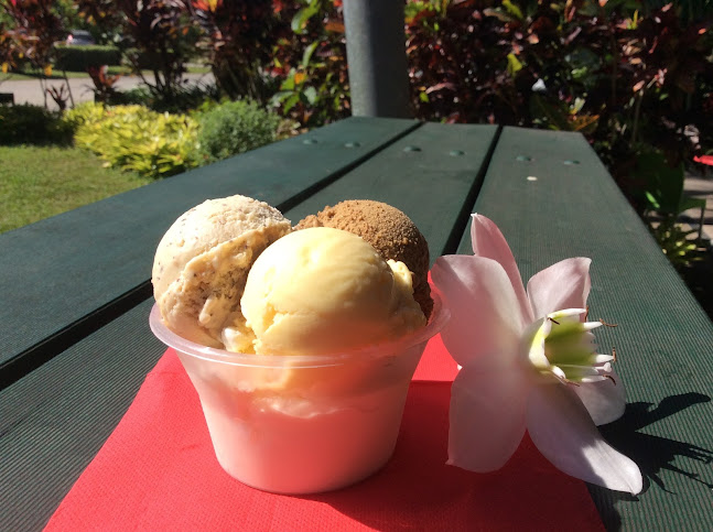 Daintree Ice Cream Company - Hospitality and gastronomy