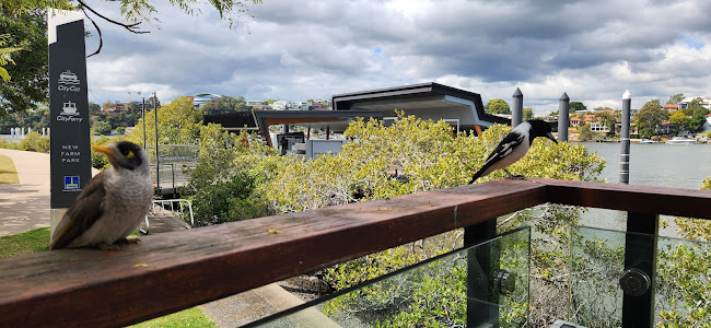 End of the Road Coffee - Hospitality and gastronomy