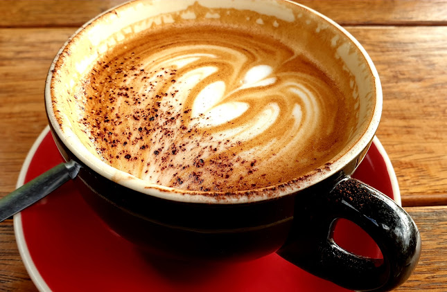 1231A Brunswick St, New Farm QLD 4005