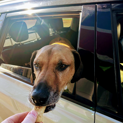 Opinii despre Muzz Buzz - Kalgoorlie în Kalgoorlie - Hospitality and gastronomy