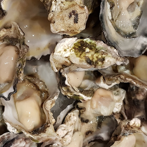 Feast at Sheraton Grand Sydney Hyde Park - Sydney