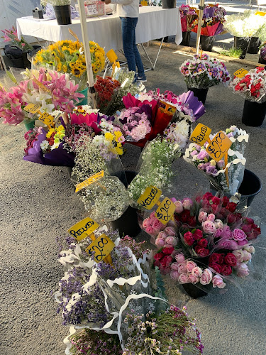 1644 Logan Road Enter via, Broadwater Rd, Mount Gravatt QLD 4122