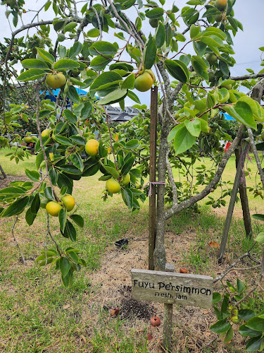 Suttons Juice Factory - Hospitality and gastronomy