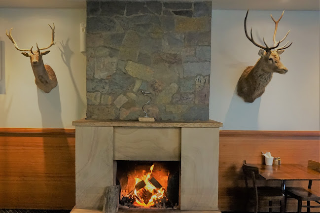 Opinii despre Jungle Duke Hotel în Wagga Wagga - Hospitality and gastronomy