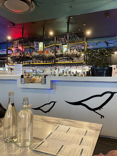 Blackbird Cafe - Sydney