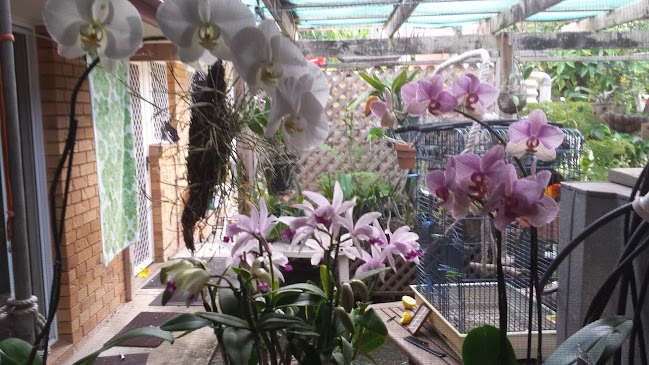 Opinii despre Geoff's Mobile Soft Serve Ice Cream în Maroochydore - Hospitality and gastronomy