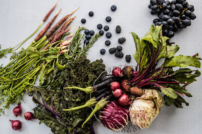 Harvest Trader and Co