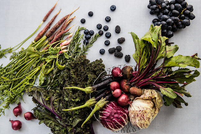 Harvest Trader and Co