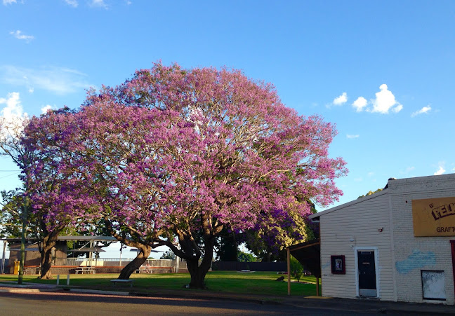 Comentarii opinii despre The Naked Bean